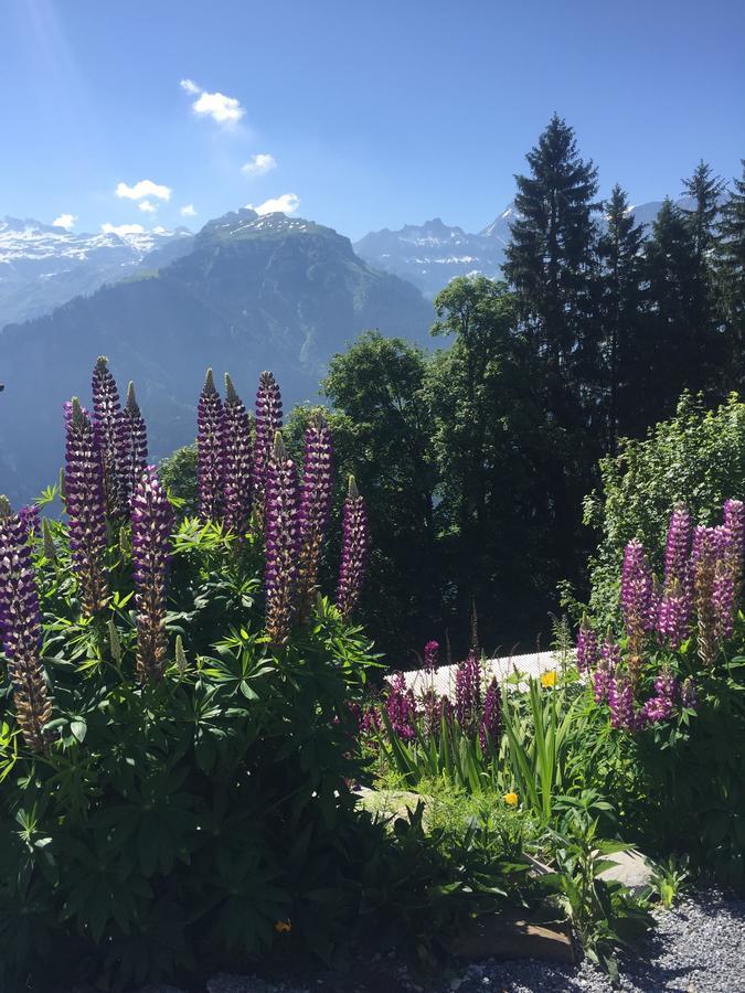 Hotel & Restaurant Stadthof Glarus Kültér fotó