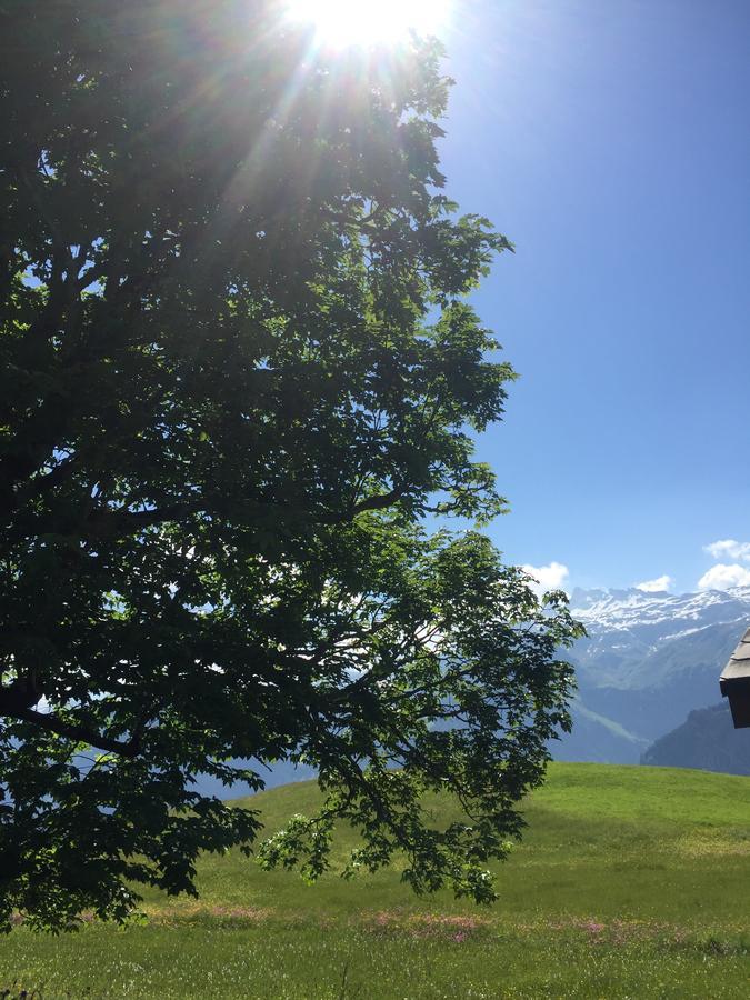 Hotel & Restaurant Stadthof Glarus Kültér fotó
